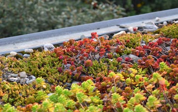 the cost of Sangobeg green roof installation